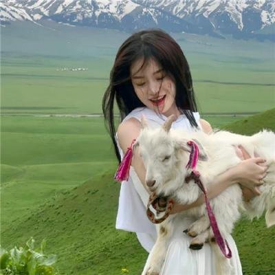 唯一的迪克·格雷戈里 海报